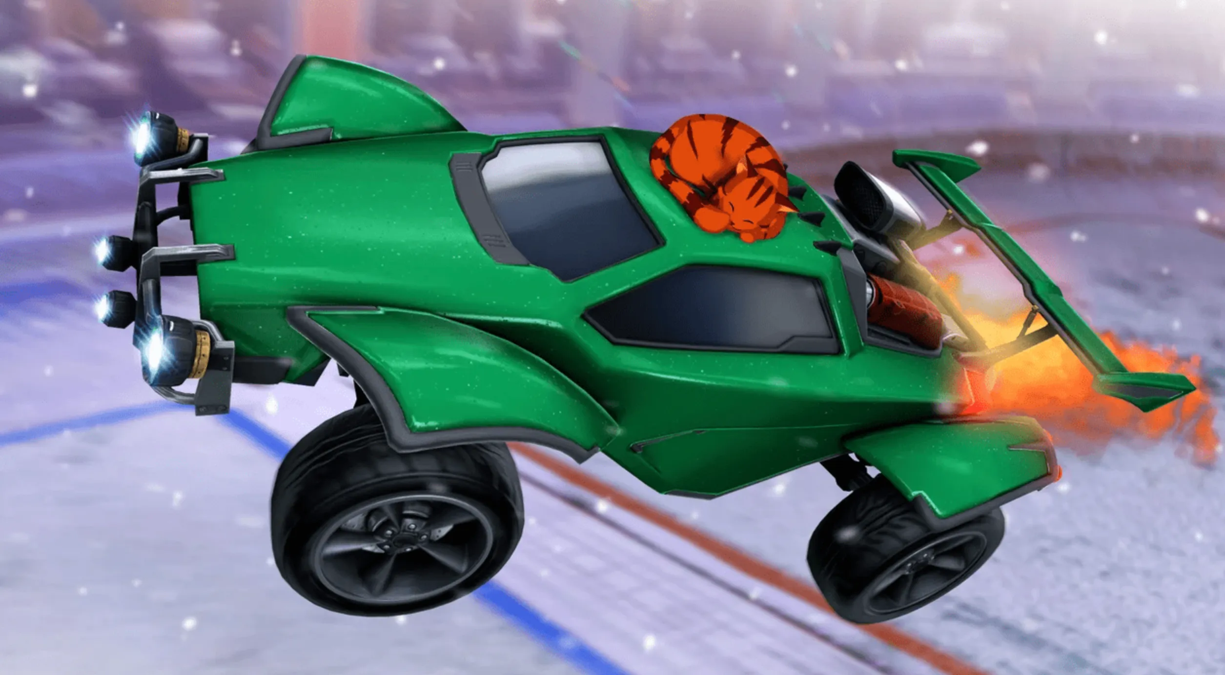 Lofi Girl Cat rocket league